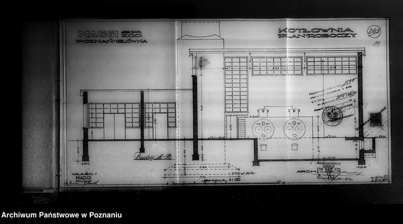Obraz 13 z jednostki "Firma "Maggi" Spółka z o.o. Poznań-Główna nr woj. 6561"