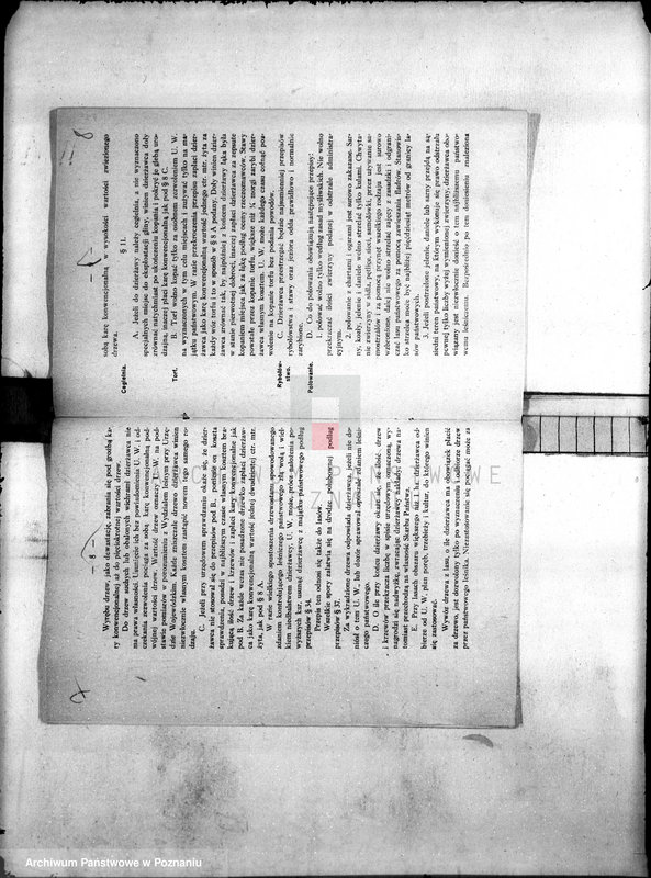 Obraz 9 z jednostki "Sprawy dzierżawy majątku Duszniki"