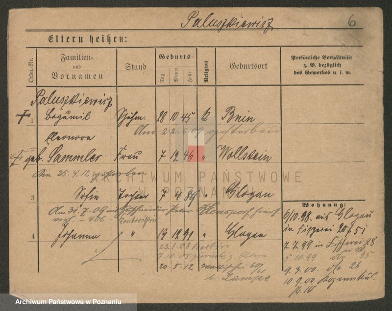 Obraz 6 z jednostki "Paluszkiewicz Pankow"