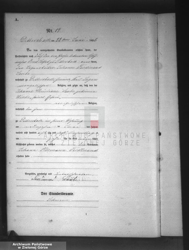 Obraz 17 z jednostki "[Księga aktów urodzeń]"