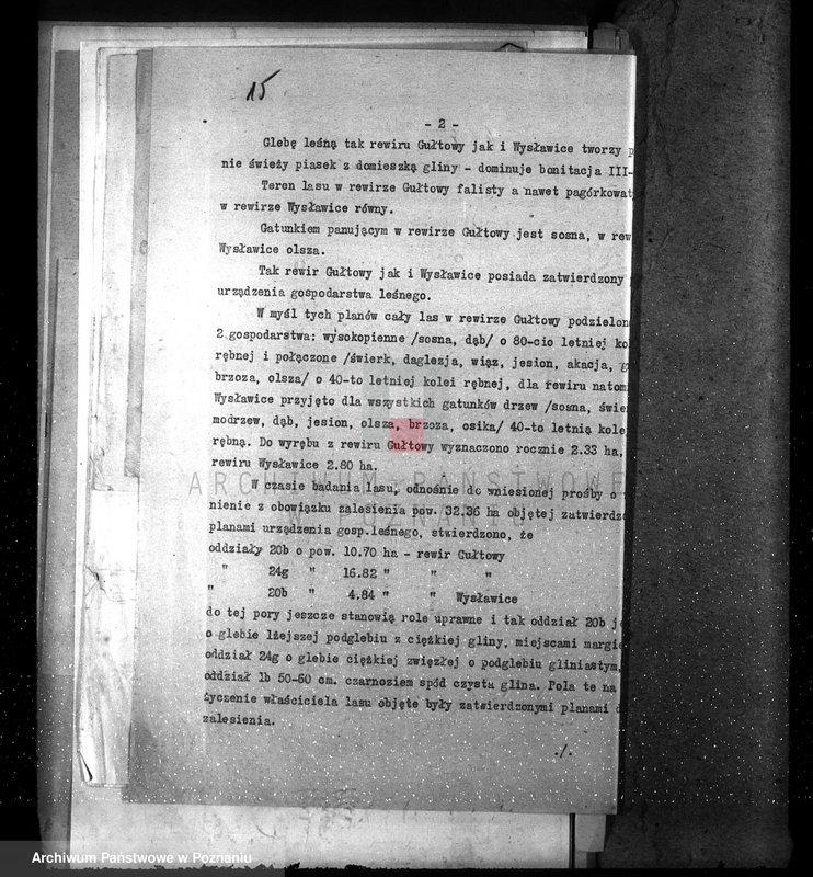 Obraz 19 z jednostki "Nadzór nad gospodarką w lasach majętności Gułtowy powiat średzki"