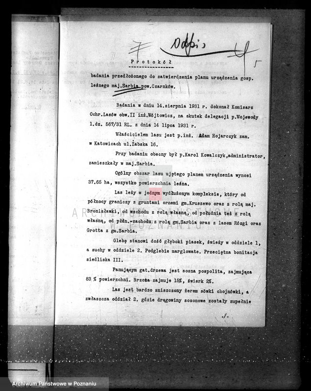 Obraz 10 z jednostki "Majętność leśna w Sarbii w powiecie czarnkowskim"
