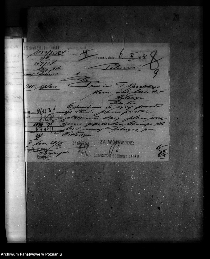 image.from.unit.number "Majętność leśna Dobrzyca powiat krotoszyński"