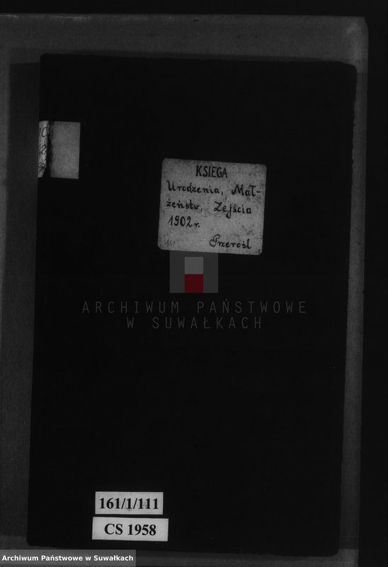 image.from.unit.number "Księga urodzenia, małżeństw i zejścia 1902 r. Przerośl"