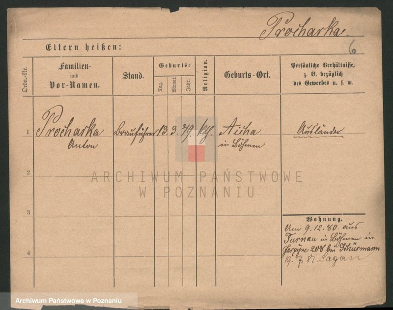 Obraz 8 z jednostki "Procha - Pruban"