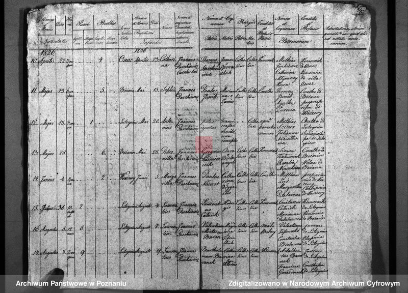 image.from.unit.number "Duplicatum baptisatorum, copulatorum, mortuorum"