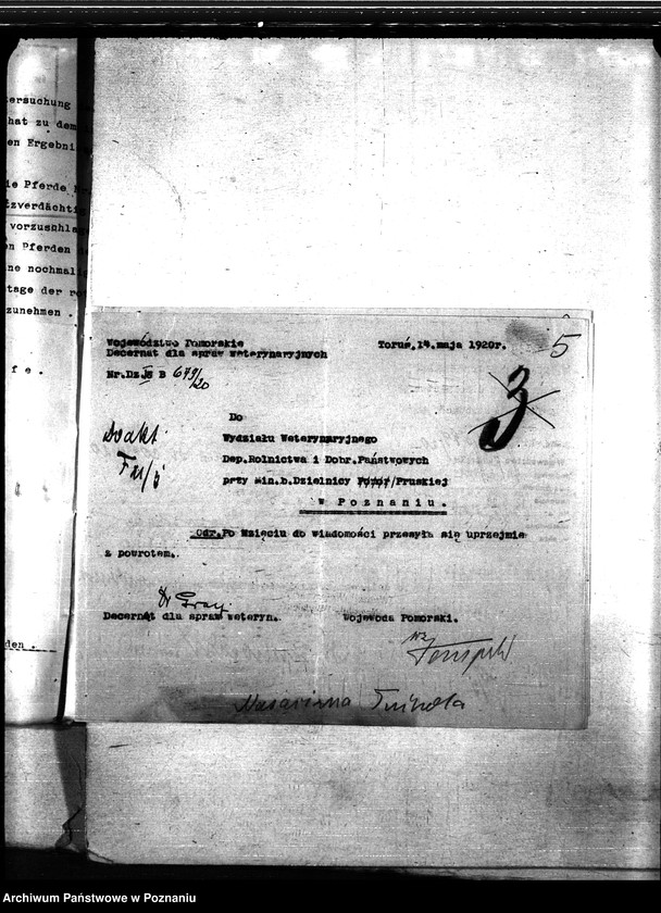 Obraz 9 z jednostki "Nosacizna - Tuchola"