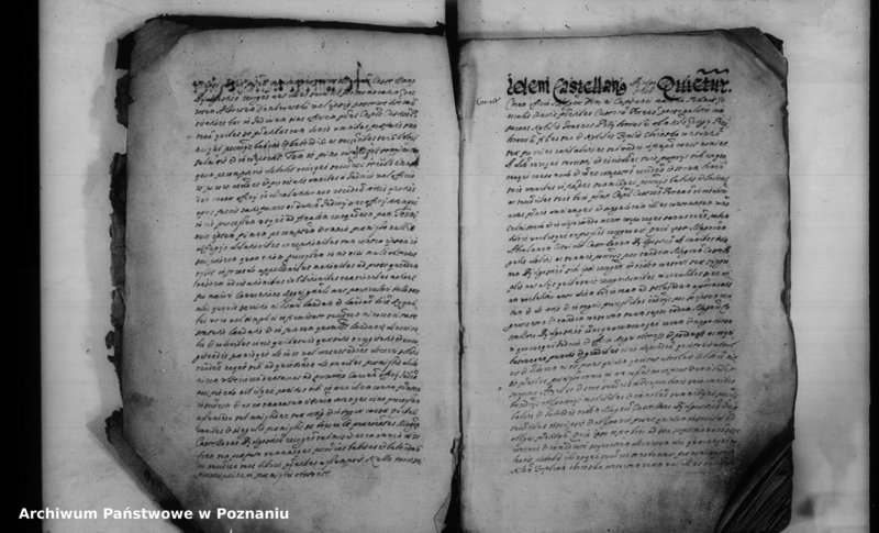 Obraz 5 z jednostki "Inscriptiones [inducta]"