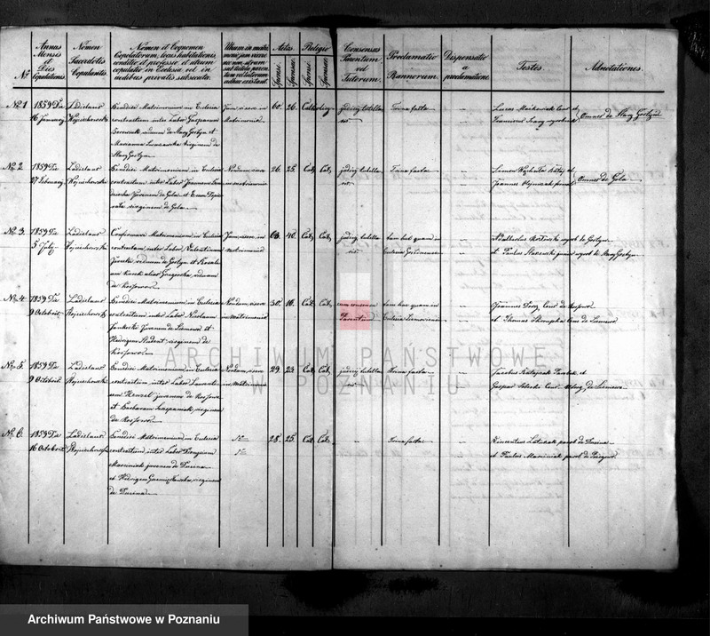 Obraz 2 z jednostki "Liber copulatorum"