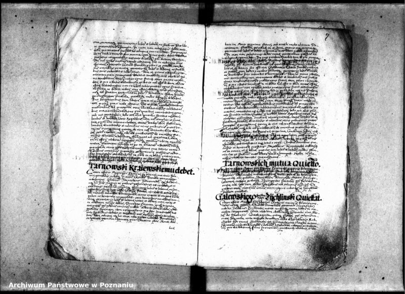 Obraz 9 z jednostki "Inscriptiones [inducta]"