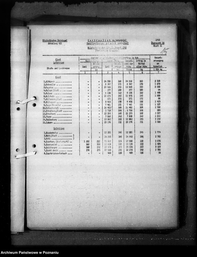 Obraz 19 z jednostki "Elsass - Lothringen"