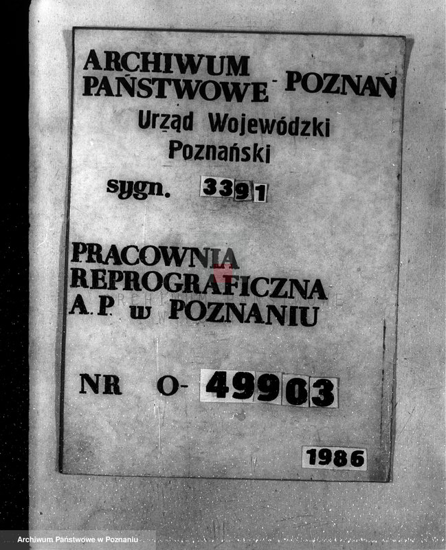 Obraz 1 z jednostki "Majątek Krwony powiat kolski /nadzór nad gospodarką leśną/"