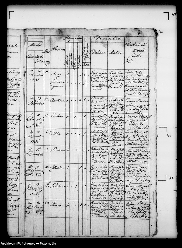 Obraz 11 z jednostki "[Kopie ksiąg metrykalnych parafii Wolica z filiami Bełchówka, Zboiska (dekanat Buków)]"