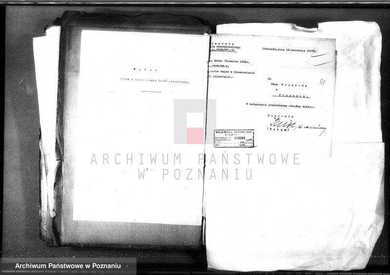 Obraz 16 z jednostki "/Lasy prywatne/ Spis według powiatów"