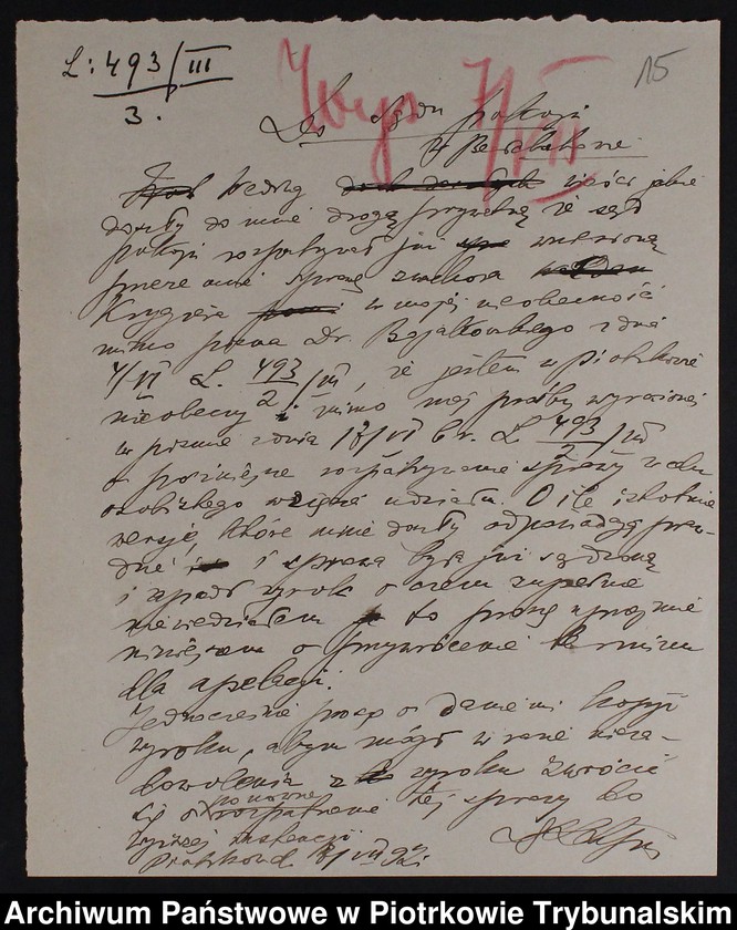 image.from.collection.number "Nielegalne praktyki medyczne i znachorstwo sto lat temu. Przykład z powiatu piotrkowskiego111"