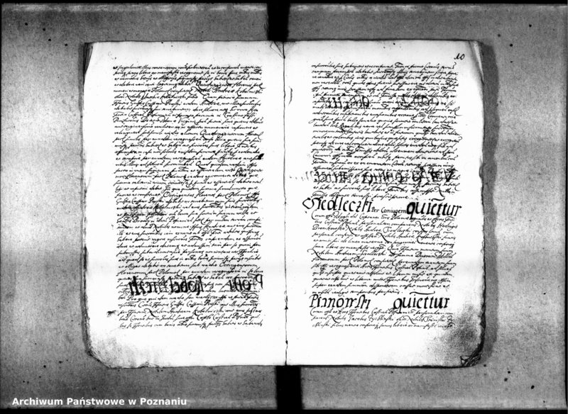 Obraz 13 z jednostki "Inscriptiones [inducta]"