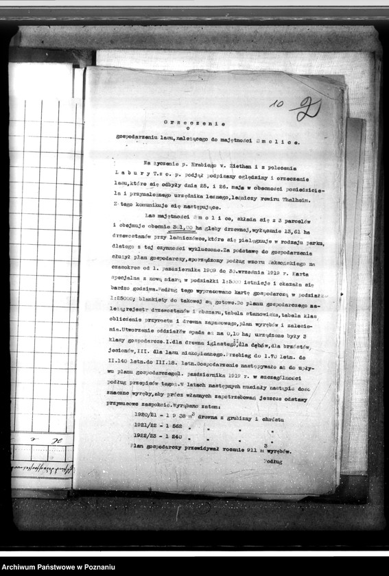 Obraz 14 z jednostki "Majętność leśna Smolice w powiecie gostyńskim"