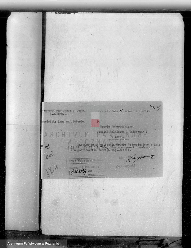 Obraz 8 z jednostki "Sprawa zmiany rodzaju użytkowania 14,42 ha gruntów leśnych w majątku Zalesie powiatu słupeckiego i zatwierdzenie planu gospodarczego"