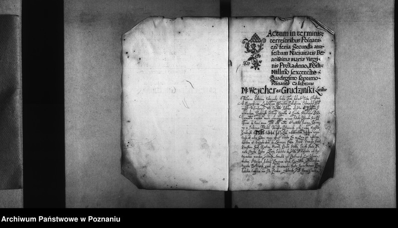 Obraz 4 z jednostki "Decreta [inducta]"