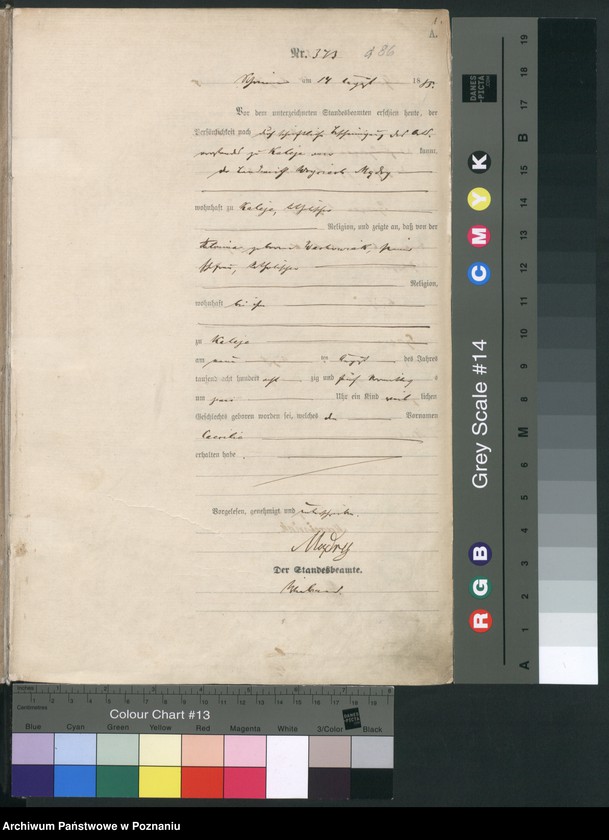 image.from.unit.number "Księga urodzeń t. II"