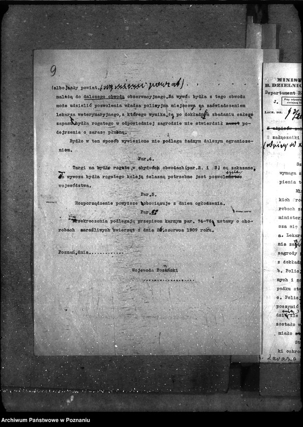 Obraz 13 z jednostki "Sprawy ogólne Wykazy chorób zaraźliwych; [księgosusz, zaraza płucna]"