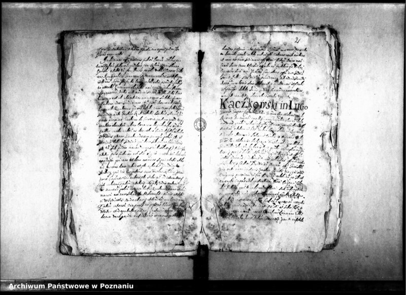 Obraz 6 z jednostki "Decreta officii [inducta]"