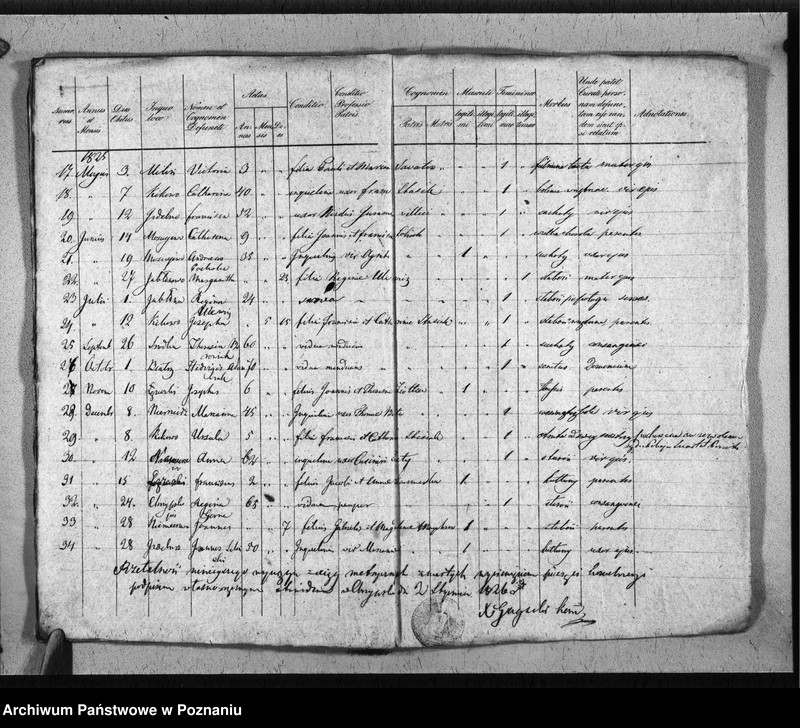 Obraz 14 z jednostki "Duplikat baptisatorum, copulatorum, mortuorum"