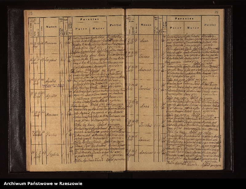 image.from.unit.number "Księga urodzeń dla miejscowości Niebieszczany"