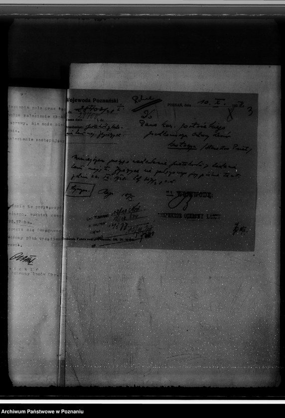 Obraz 7 z jednostki "Nadzór nad gospodarką w lasach majętności Jezierzyce"