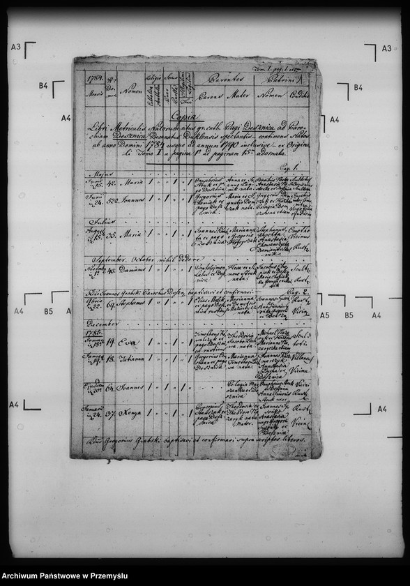 Obraz 5 z jednostki "[Kopie ksiąg metrykalnych parafii Desznica z filią Brzezawa (dekanat Dukla)]"