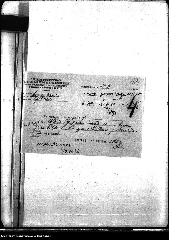 Obraz 16 z jednostki "Nosacizna - Września"