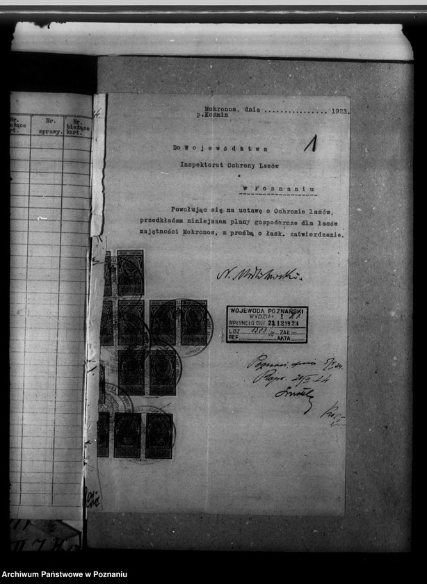 Obraz 5 z jednostki "Nadzór nad gospodarką leśną majętności Mokronos powiat krotoszyński"