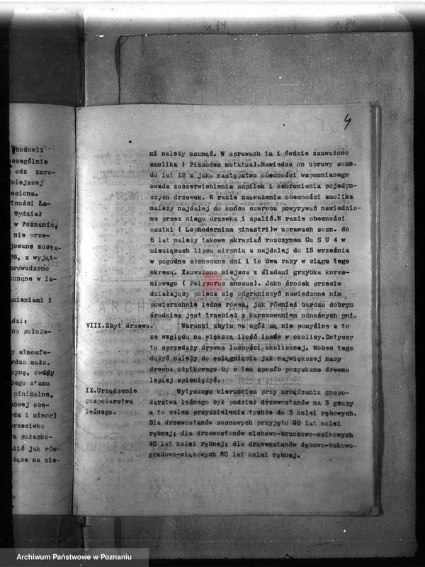 Obraz 7 z jednostki "Majętność leśna Ławica w powiecie międzychodzkim /plan urządzenia gospodarstwa leśnego/"
