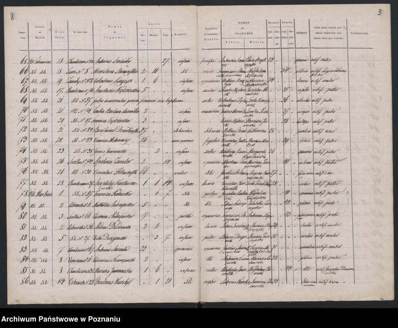 Obraz 7 z jednostki "Spis zgonów"