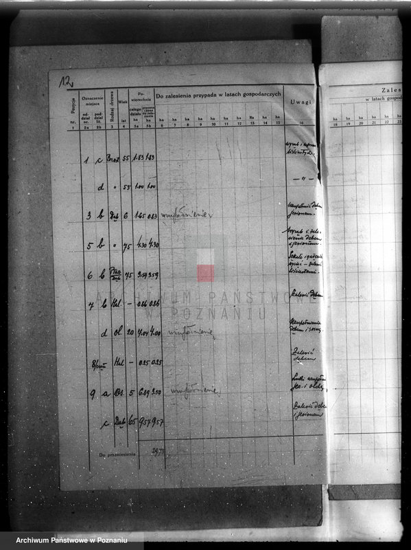 Obraz 16 z jednostki "Plan urządzenia gospodarstwa leśnego lasu majętności Dakowsko-Wojnowickiej w powiecie nowotomyskim"