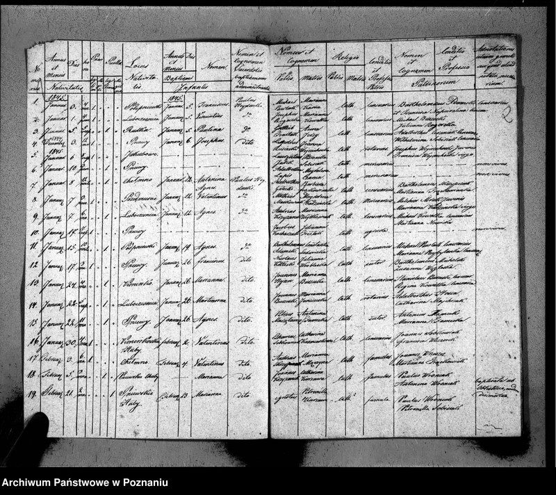 Obraz 4 z jednostki "Duplicat baptisatorum, copulatorum, mortuorum"