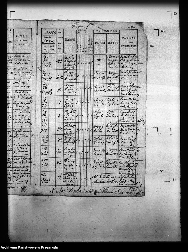Obraz 12 z jednostki "[Kopie ksiąg metrykalnych parafii Szandrowiec (dekanat Turka)]"
