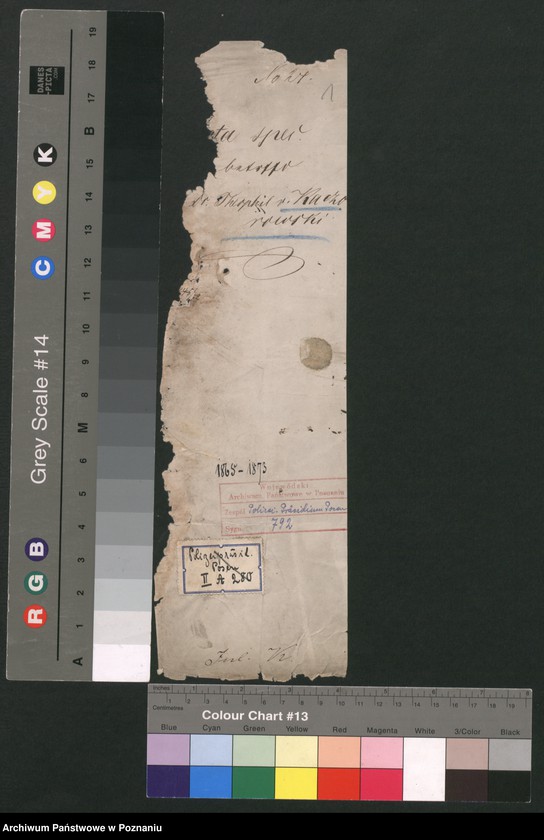 Obraz 4 z jednostki "A. betr. Theofil von Kaczorowski /Koczorowski/"