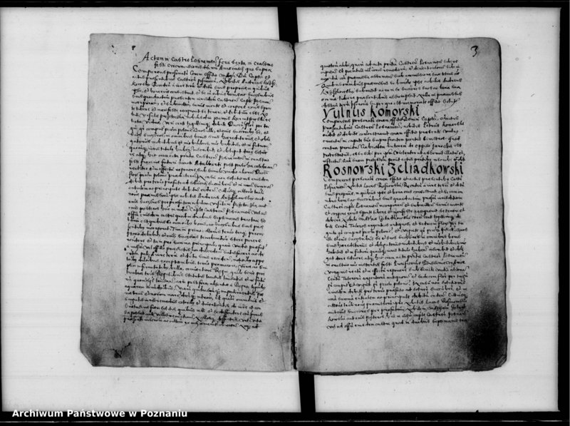 Obraz 6 z jednostki "Inscriptiones, relationes [inducta]"