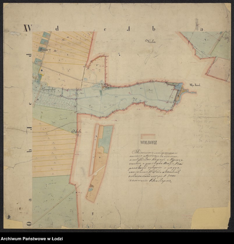 Obraz 5 z jednostki "Plan urządzenia majoratu Wolbórz"