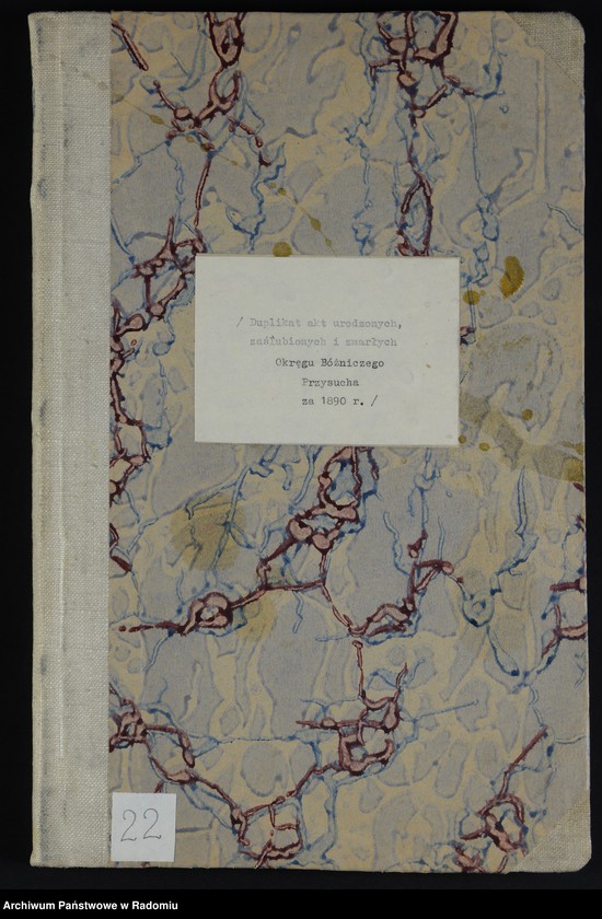 Obraz 1 z jednostki "[Duplikat akt urodzonych, zaślubionych i zmarłych Okręgu Bóżniczego Przysucha za 1890 r.]"