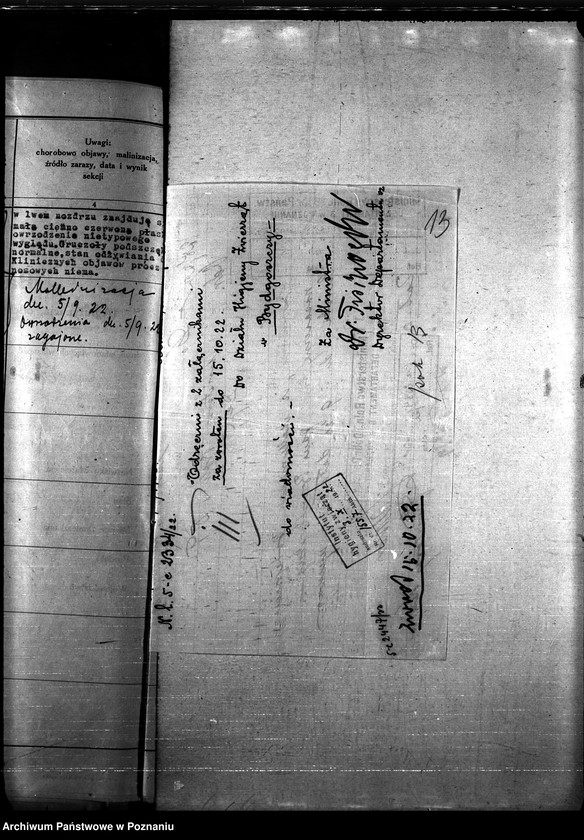 Obraz 17 z jednostki "Nosacizna - Chojnice"